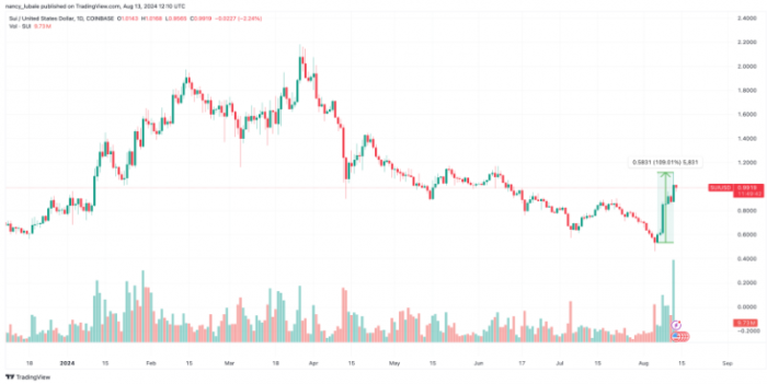SUI、Zcash 和 Helium 本周表現亮眼，超越Bitcoin圖片