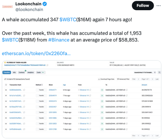 未知鯨魚大舉購買1,600萬美元Wrapped Bitcoin（ 圖片