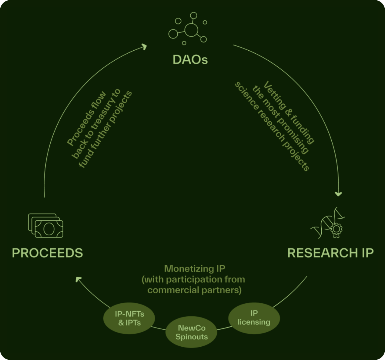 詳解BIO Protocol及DeSci領域項目如何革新科研 圖片